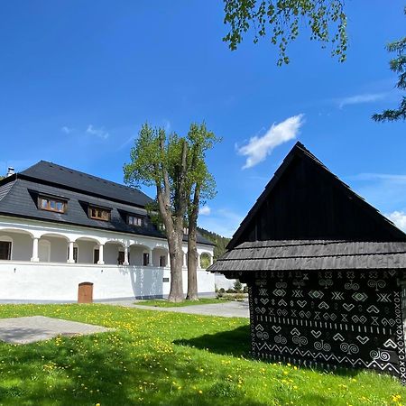 Kastiel Cicmany Hotel Buitenkant foto